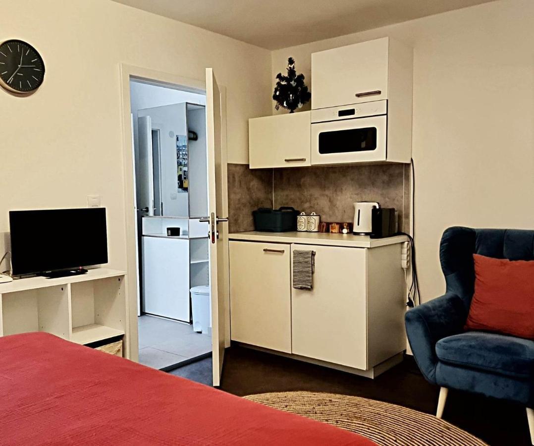 Apartman Zlaty Kriz Písek Buitenkant foto